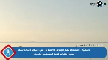 رسميًا.. استمرار دعم البنزين والسولار حتى أكتوبر 2025 وسط سيناريوهات لجنة التسعير الجديدة